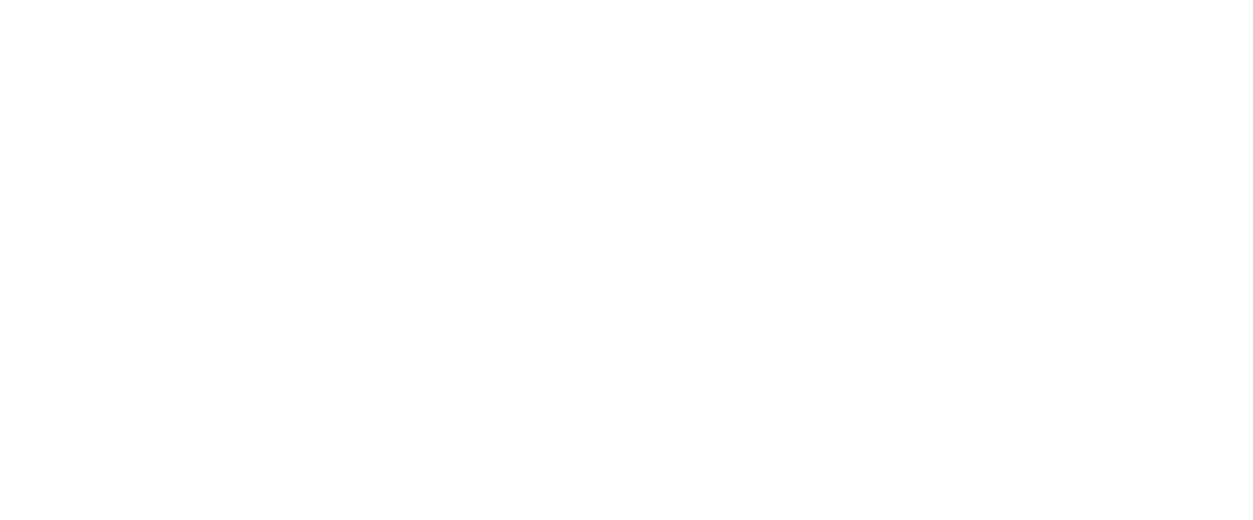 Logo CNBV blanco